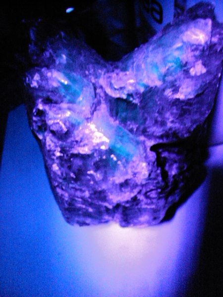 UV und andere Bilder 007.JPG