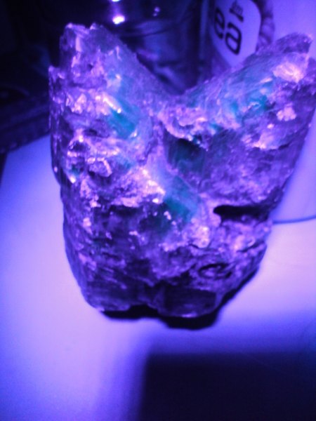 UV und andere Bilder 009.JPG