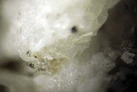 _Sabinait xx_MSH_Quebec_Kanada_Peter.jpg