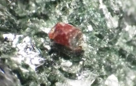 Zirkon_IMG_2890_klein.JPG