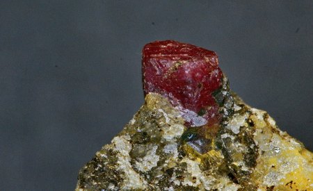 Rubin (2).jpg