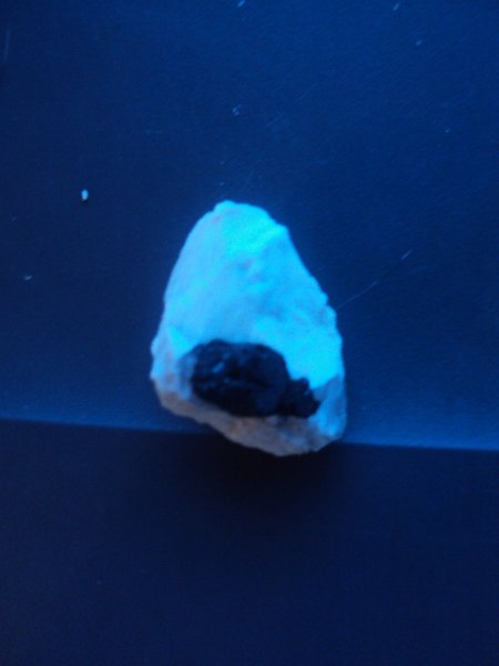 Selb ua 026.JPG