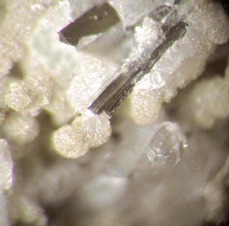 _Carbonatreicher Fluorapatit xx auf Chlorit-Tafeln_Spodumen xx_Vergrößerung aus NS_Brandrücken_Moschkogel-Weinebene_Koralpe_Kärnten_Österreich_Peter_1c.jpg