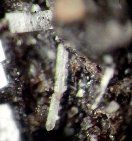 _Sellait xx_Topas xx_BB 4 mm_Üdersdorf_Eifel_Peter_1.jpg
