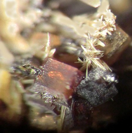 _Barytolamprophyllit x u.a._BB 4 mm_Graulai_Eifel_Peter_1.jpg