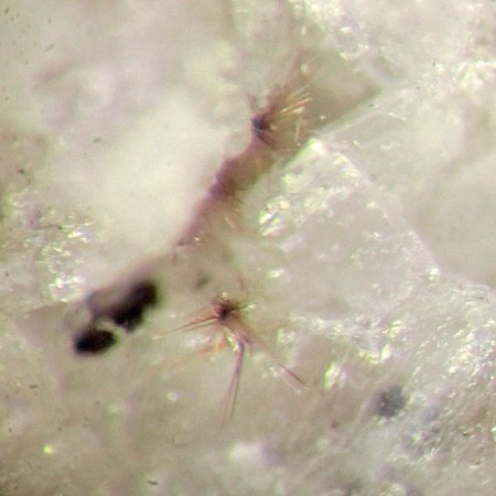 _Polymignit xx_BB 4 mm_Krufter Ofen_Eifel_Peter.jpg