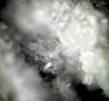 _Hydrocalumit x_BB 4 mm_Bellerberg_Ettringen_Eifel_Peter_1a.jpg