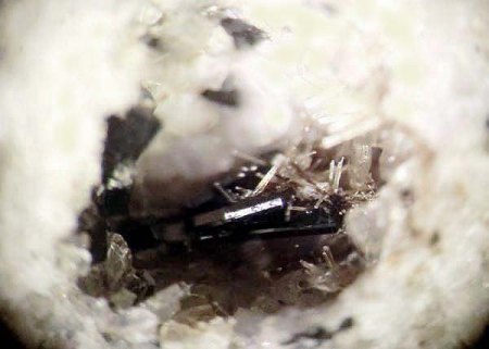 _Wöhlerit-Lavenit-Epitaxie_BB 5 mm_Mendig_Laaacher See_Eifel_Peter_1b.jpg