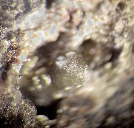 _Magnesit-Kugel_BB 5 mm_Wingertsberg_Mendig_Laacher See_Eifel_Peter.jpg
