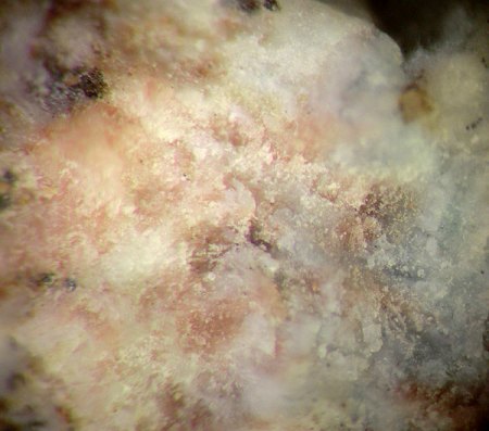 _Reinhardbraunsit rosa_Ellestadtit bläulich_BB 5 mm_Bellerberg_Ettringen_Eifel_Peter_2.jpg