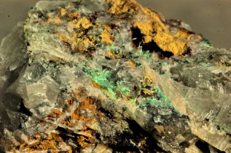 Olivenit.jpg