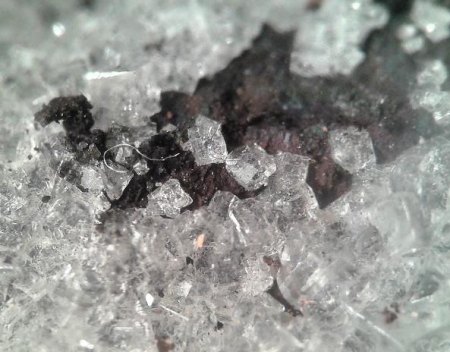 Cryptohalit Schöller Mine.jpg