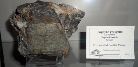 Triphylin Hagendorf-NordDSCN2091.JPG