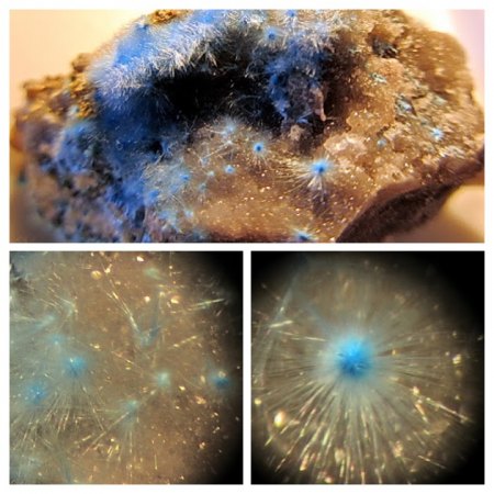 Cyanotrichit-COLLAGE.jpg
