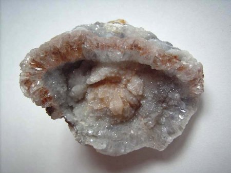 Chalcedon_Versteinerte Muschel_1_Vorderseite_Brasilien_Peter.jpg
