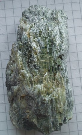 DSC_0006 (4).jpg
