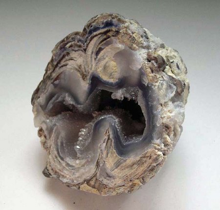 Achat_Chalcedon_versteinertes Holz_Vorderseite_Peter.JPG