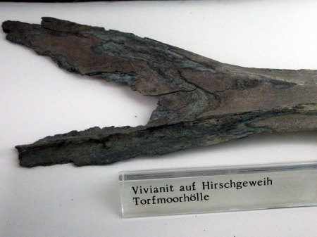 Vivianit Torfmoorhölle,Fichtelgebirge.JPG