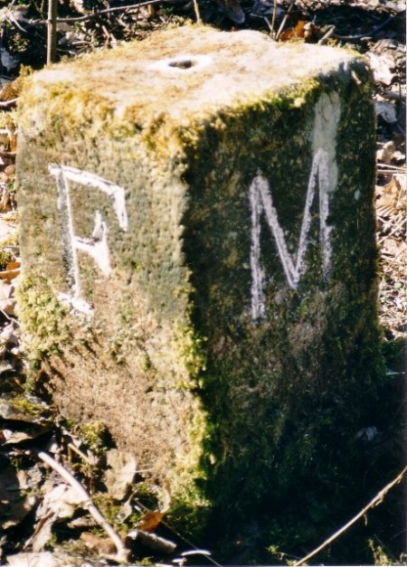 MA_F_01.jpg