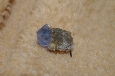 IMGP6641.JPG