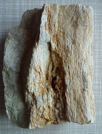 DSC_0024.jpg