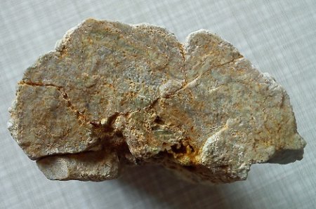 DSC_0021.jpg