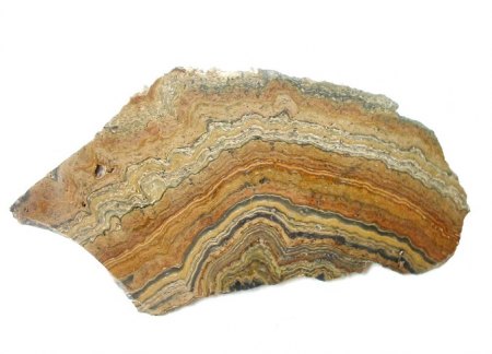 Schalenblende (Wiesloch).jpg