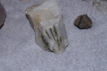 IMGP6776.JPG