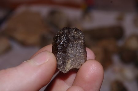 IMGP6778.JPG