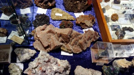 DSC_0022.jpg