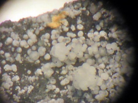 Hydromagnesit Ronneburg  .JPG