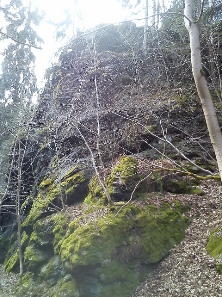 DSC_0009.jpg