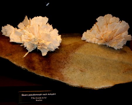 Quarz pseudomorph nach Anhydrit      F Rio Grande do Sul-Brasilien.JPG