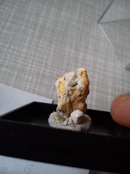 DSC_0010.jpg