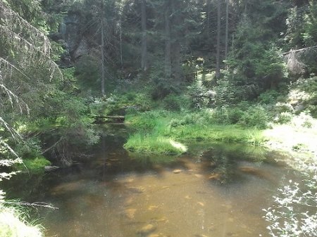 Foto1021.jpg