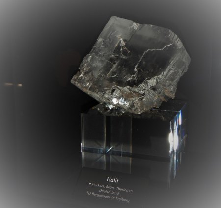 DSCN0089.JPG
