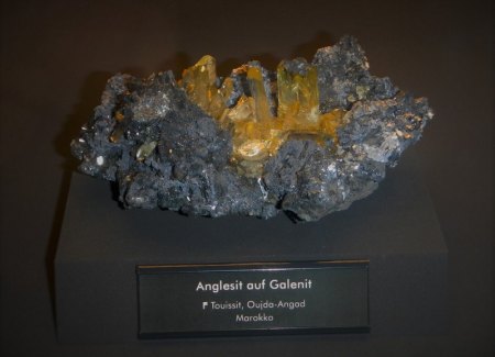 DSCN0083.JPG