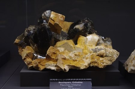 IMGP6830.JPG