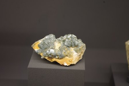 IMGP6833.JPG