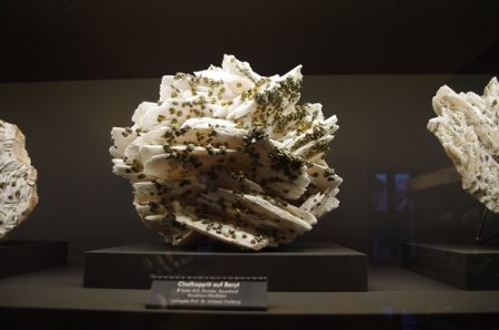 IMGP6867.JPG