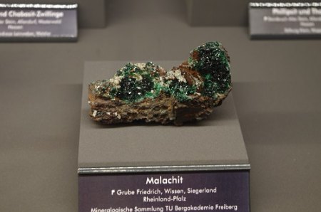 IMGP6889.JPG