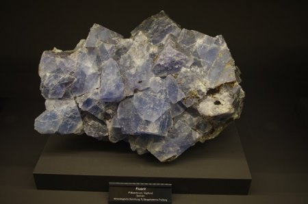 IMGP6904.JPG