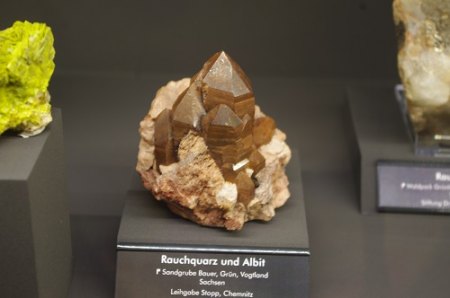 IMGP6907.JPG