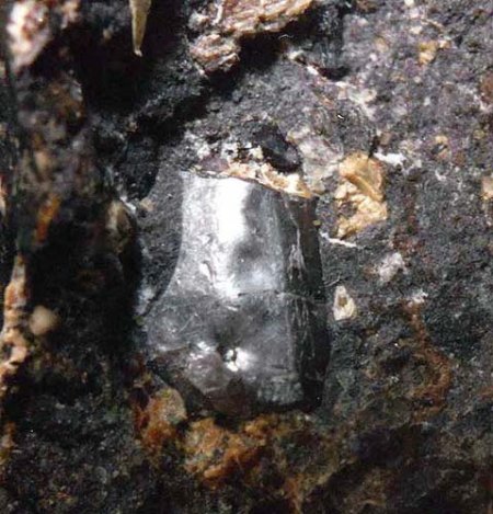 Eigenfund_Hydroxylapatit_Erbsenacker_Wiesbaden-Naurod_Hessen_Ts._3_Peter.jpg