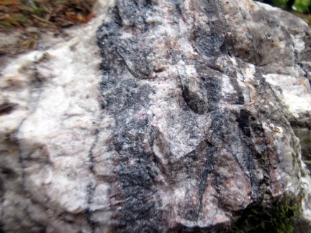 Gleissinger Fels 4.JPG