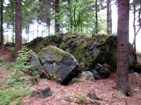 Gleissinger Fels 6.JPG