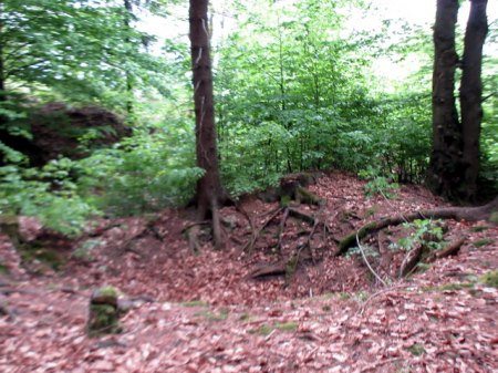 Gleissinger Fels 8.JPG