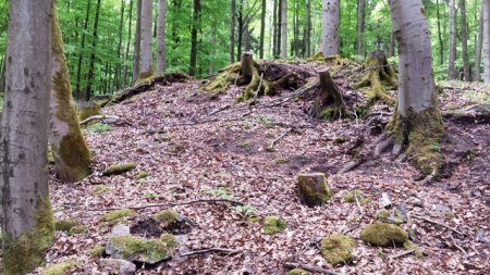 20160518_105955.jpg