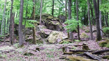 20160518_154348.jpg