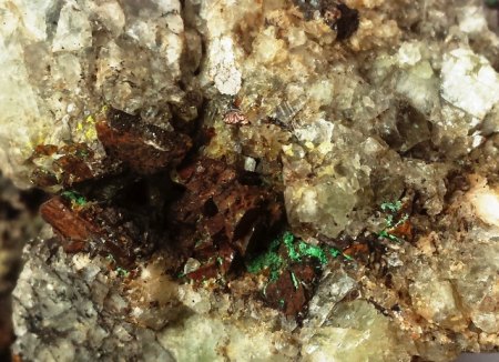 20160529_093542.jpg